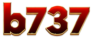 b737 logo